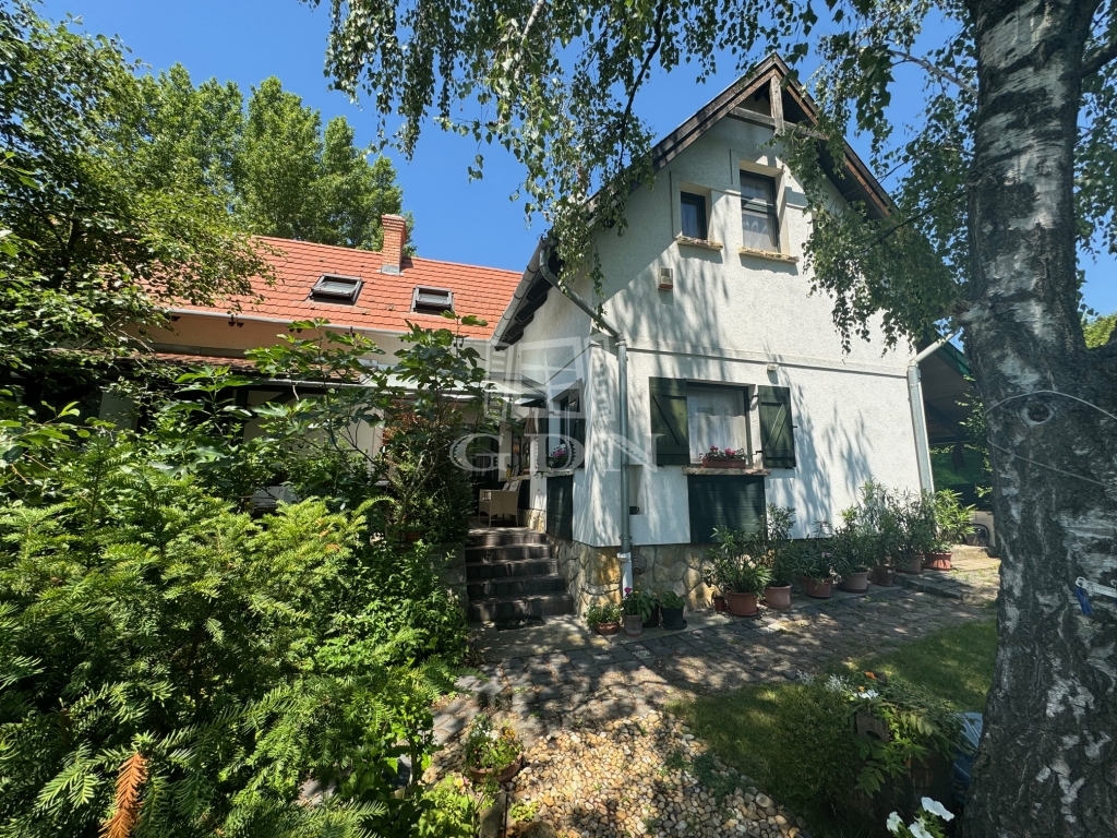 For sale Szentendre Family House